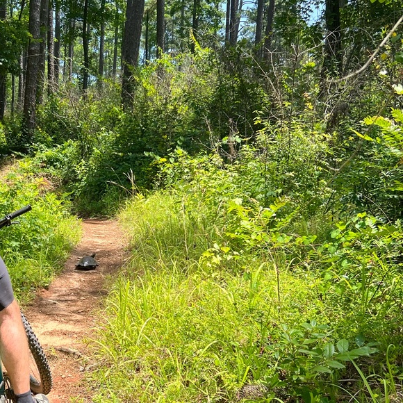 Listing Details - Picture 6 of 10